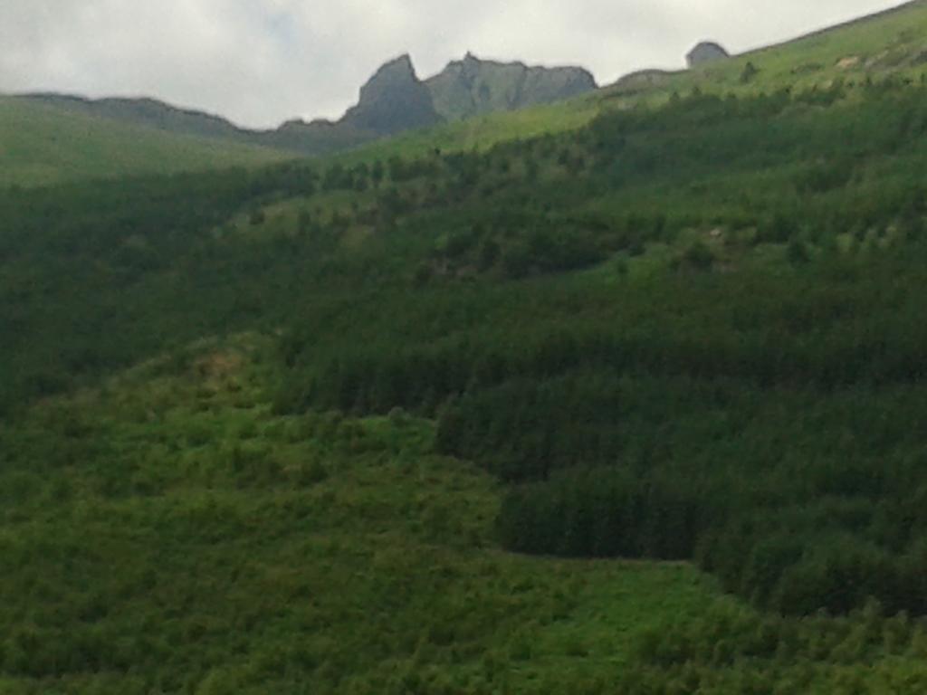 Arrochar Alps Apartment Eksteriør billede